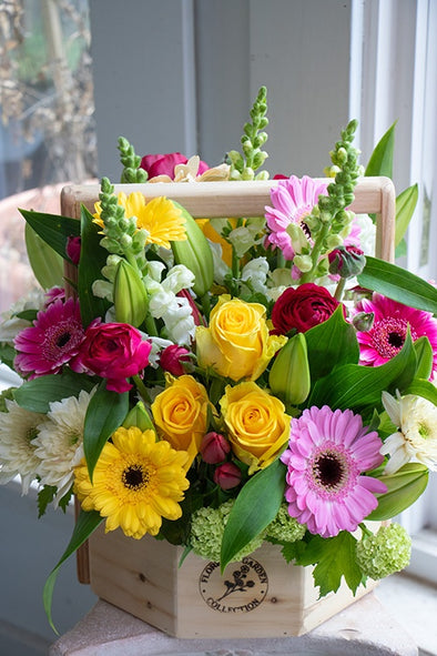 BRIGHT & CHEERY_Large