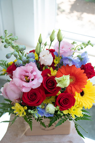 Bright & Cheery_Medium