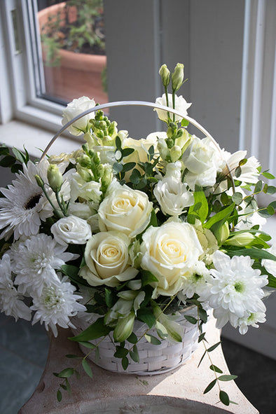 White & Green_Premium