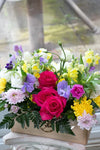 Bright & Cheery_Large