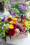 Bright & Cheery_Large