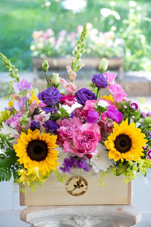Bright & Cheery_Large