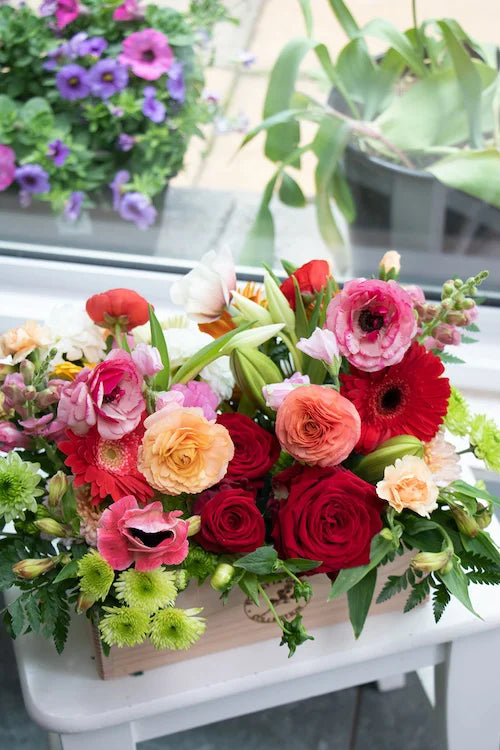 Bright & Cheery_Large