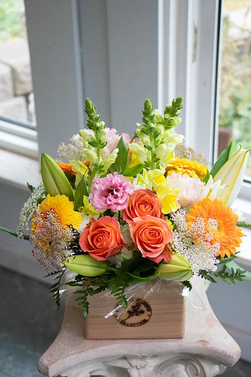 Bright & Cheery_Medium