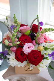 Bright & Cheery_Medium