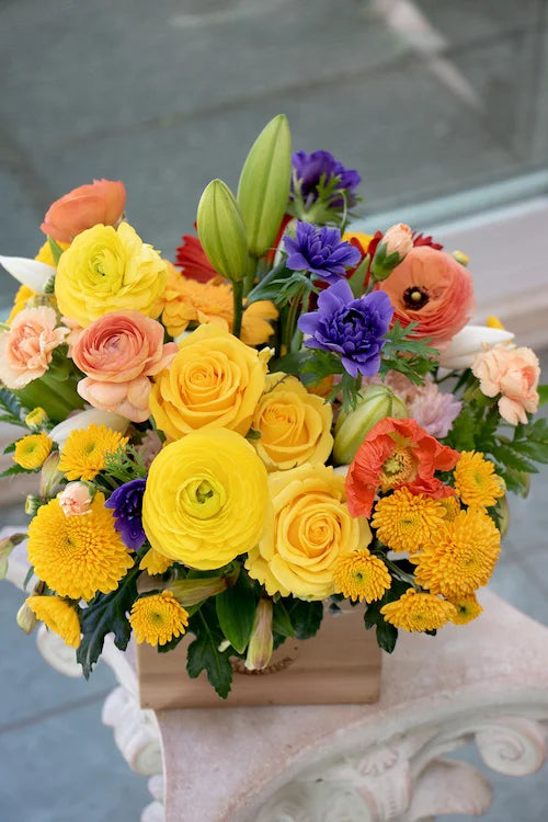 Bright & Cheery_Medium