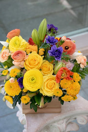 Bright & Cheery_Medium