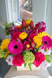 Bright & Cheery_Medium