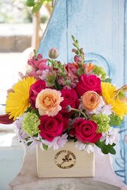 Bright & Cheery_Medium