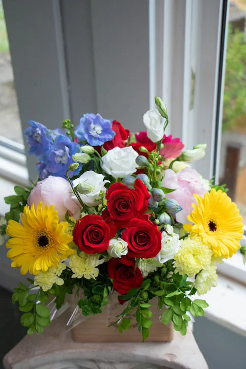 Bright & Cheery_Medium