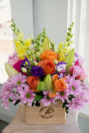 Bright & Cheery_Medium