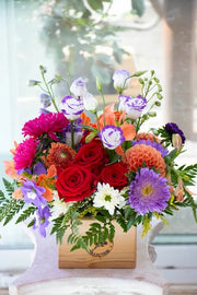 Bright & Cheery_Medium