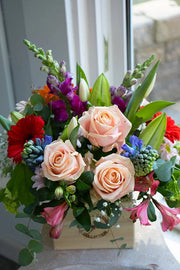 Bright & Cheery_Medium