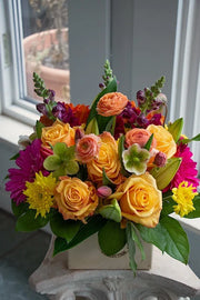 Bright & Cheery_Medium
