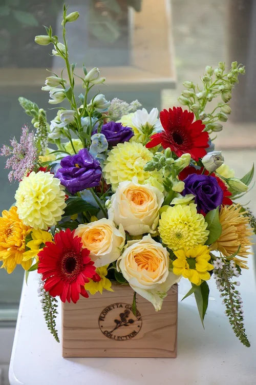 Bright & Cheery_Medium
