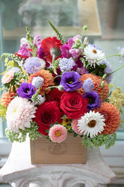 Bright & Cheery_Medium