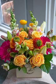 Bright & Cheery_Medium