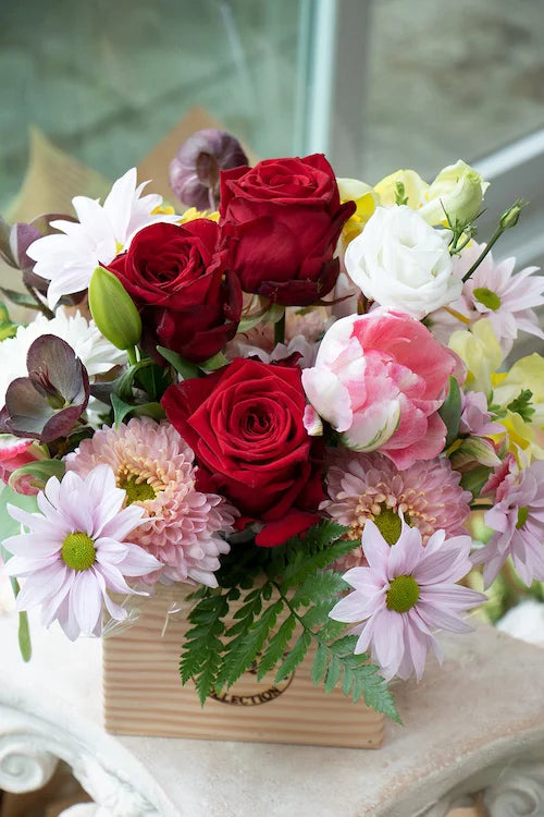 Bright & Cheery_Medium