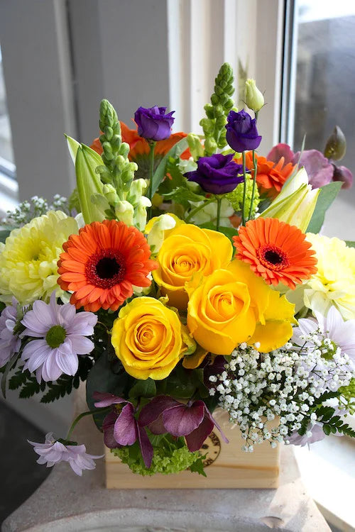 Bright & Cheery_Medium