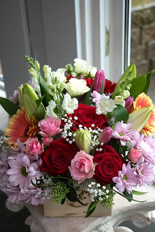 Bright & Cheery_Medium