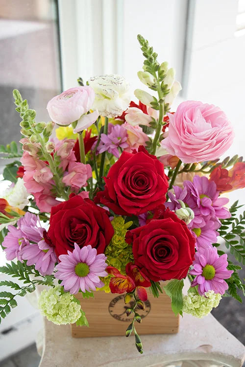 Bright & Cheery_Medium