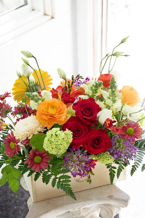 Bright & Cheery_Large