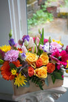 Bright & Cheery_Large