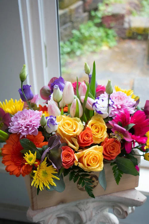 Bright & Cheery_Large