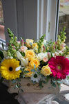 Bright & Cheery_Large