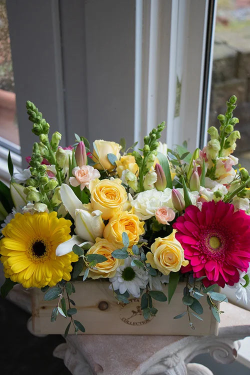 Bright & Cheery_Large