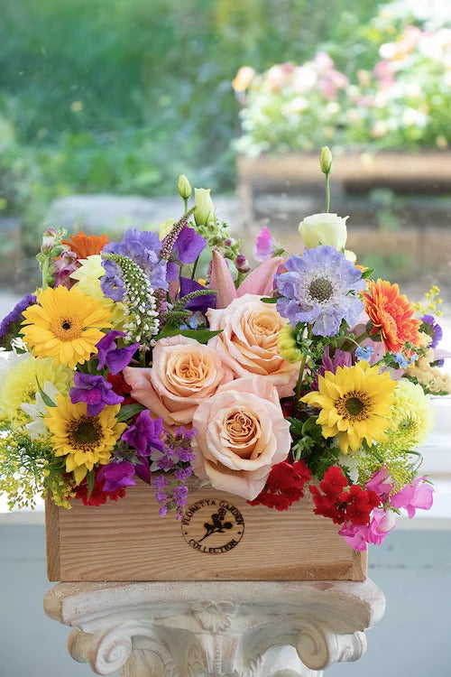 Bright & Cheery_Large