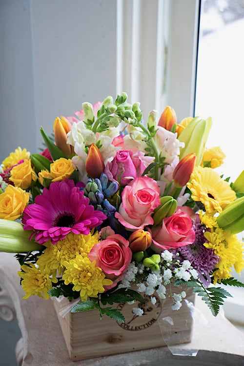 Bright & Cheery_Medium