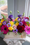Bright & Cheery_Large
