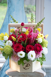 BRIGHT & CHEERY_Large