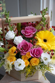 BRIGHT & CHEERY_Large