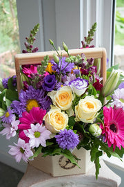 BRIGHT & CHEERY_Large