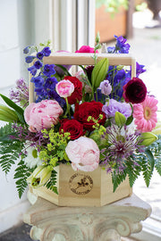 BRIGHT & CHEERY_Large