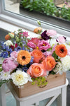 Pastel_Large
